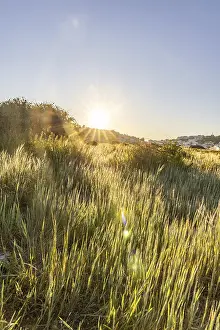 Category Historic EN Prints: Sunrise with a view of a meadow
