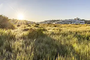 Category Historic EN Prints: Sunrise with a view of a meadow