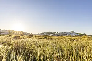 Category Historic EN Prints: Sunrise with a view of a meadow