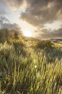 Sunrise with a view of a meadow