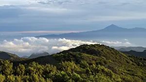 Sunrise, view of Mount Teide from Alto de Garajonay