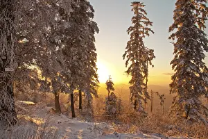 Sunset on Mt. Teufelsmuehle, Black Forest