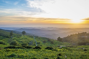 Category Mountain Landscapes Prints: Sunset view in a valley with terraced fields around mount Foia on Monchique