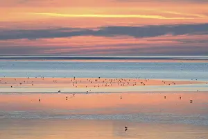 Sunset over the Wadden Sea at low tide