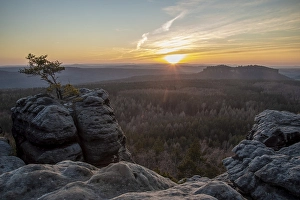 Sunset, Weathered pine, Pfaffenstein