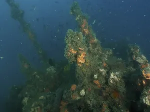 The superstructure of a shipwreck overgrown with algae and sponges in the deep ocean