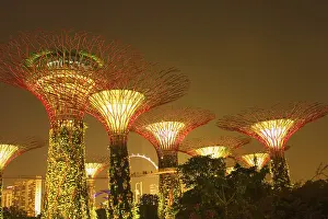 Supertrees, Gardens by the Bay