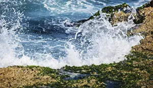 Framed Print : Surf on the coral reefs in the sunny day