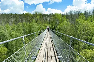 Suspension rope bridge over the Baerental