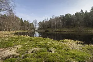Svarttjern is a pond in Baneheia in Kristiansand
