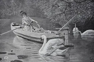 A swan pursues an elegant lady sitting in a rowing boat and picking water lilies
