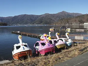 Framed Print : Several swan shaped paddleboats on a calm lake with mountains in the background