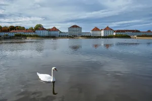 Swans in pond in front of the Nymphenburg Palace