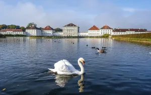 Swans swimming in front of Nymphenburg Palace
