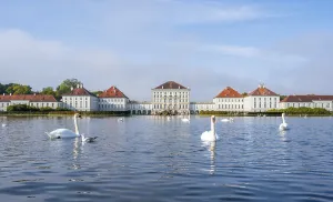 Swans swimming in front of Nymphenburg Palace