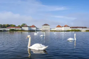 Swans swimming in front of Nymphenburg Palace