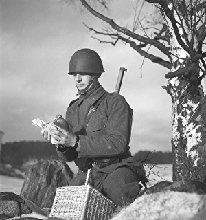 Swedish army during WW2. A soldier is seen holding a pigeon in his hands