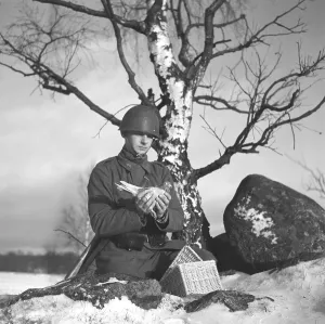 Swedish army during WW2. A soldier is seen holding a pigeon in his hands