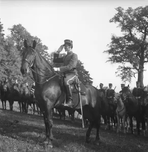 Swedish officer in the cavalry