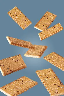 Sweet cookie flies on a blue background