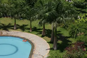 Swimming pool with backdrop of greenery
