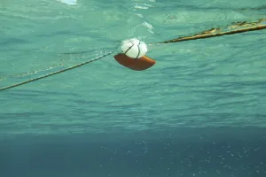 Swimming towards rope with red sea buoy