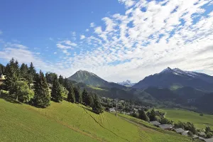 Swiss Alps. Green alpine meadow on a hillside and surrounded by pine forests