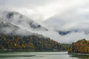 Sylvenstein Speicher with autumn forest in the mist
