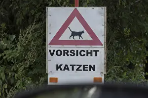A symbol of a house cat, a popular pet animal