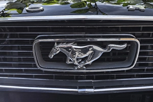 Symbol Radiator grill horse figure