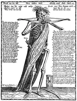 symbolic leaflet death 17th century Trending Item 5