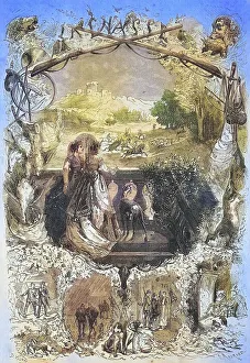 Symbolic photo for the hunt for the sight in 1869