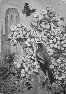 Symbolic picture for spring, blossoming cherry tree with a bird and a butterfly