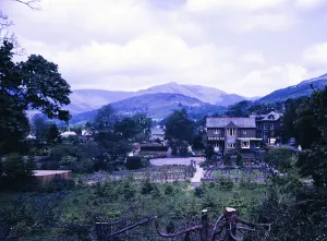 T R Hayes and Sons, nursery, garden centre, Ambleside, Cumbria, Lake District, England, United Kingdom, photographed in 1967, Europe
