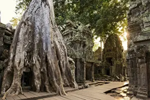 Ta Prohm, Angkor Wat, Angkor, UNESCO World Heritage Site