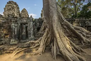 Ta Prohm, Angkor Wat, Angkor, UNESCO World Heritage Site