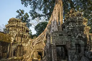 Ta Prohm, Angkor Wat, Angkor, UNESCO World Heritage Site