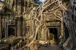 Ta Prohm, Angkor Wat, Angkor, UNESCO World Heritage Site