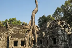 Category Buddhism Prints: Ta Prohm, Angkor Wat, Angkor, UNESCO World Heritage Site