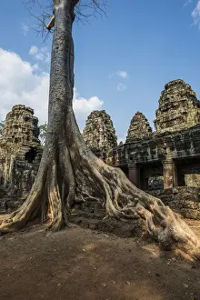 Ta Prohm, Angkor Wat, Angkor, UNESCO World Heritage Site