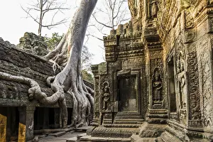 Ta Prohm, Angkor Wat, Angkor, UNESCO World Heritage Site