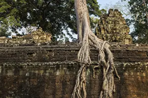 Ta Prohm, Angkor Wat, Angkor, UNESCO World Heritage Site