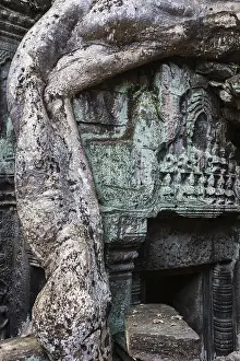 Ta Prohm temple with giant banyan tree