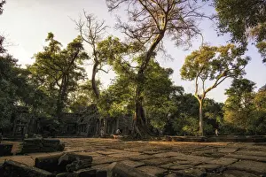 Ta Prohm temple and ruins in Siem Reap