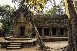 Ta Prohm temple and ruins in Siem Reap taken with strong light