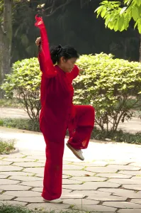 T'ai chi ch'uan (simplified Chinese: 太极拳)