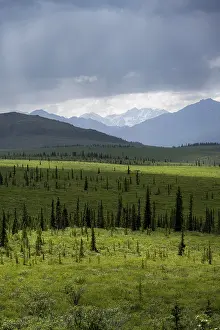 Framed Print : Taiga and tundra, mountain landscape of the Alaska Range with dramatic cloudy sky Framed Print : Taiga and tundra, mountain landscape of the Alaska Range with dramatic cloudy sky