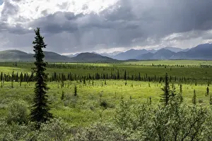 Taiga and tundra, mountain landscape of the Alaska Range with dramatic cloudy sky