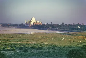 Taj Mahal, UNESCO World Heritage Site, Agra, Uttar Pradesh, India seen from a distance in 1974