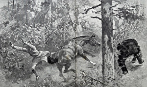 Taken by surpris e, bear shooting at an Indian hill station, India, As ia